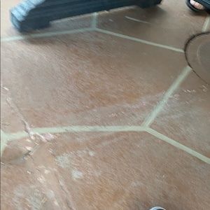 Meet your Posher, Flavia